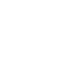palm